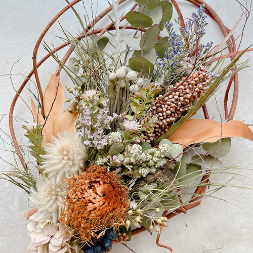 ドライフラワーのリース ドライアンドラフォルモーサ スワッグ riisi