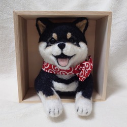 柴犬 羊毛 羊毛フェルト ハンドメイド 黒柴 羊毛フェルト allenkuro48