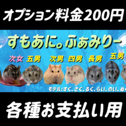 ハムスター ルーミィ60専用ロフトハウス 階段付属 ハウス・小屋