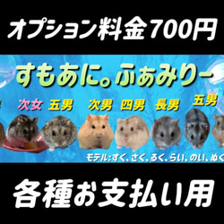 ハムスター グラスハーモニー450専用ロフトハウス 階段付属