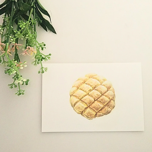 色鉛筆画 原画 1点物 メロンパン イラスト ハガキサイズ
