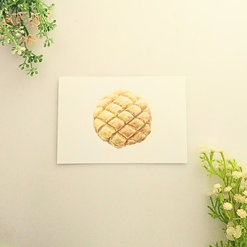 肥後グリーンメロン 色鉛筆画　はがきサイズ 熊本が生まれの高級メロン・肥後グリーンのご予約スタート