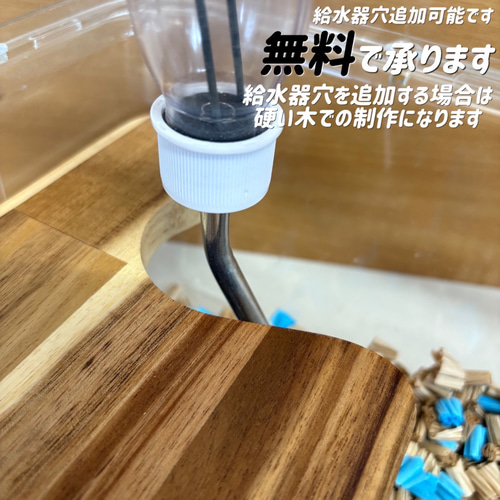 くるみ　ハムスター　ルーミィ60用　齧り防止ロフト ハムスター ルーミィ60専用ロフト 階段付属 ハウス・小屋 【すも