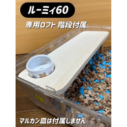 楽天市場】GEX Harmony 小動物用飼育ケージ グラスハーモニー