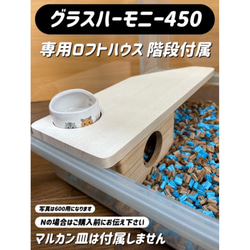 グラスハーモニー600High｜郵便局のネットショップ