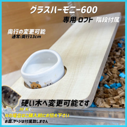 ハムスター グラスハーモニー600カミカミ防止ロフト 階段付属