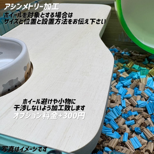 mayubuluオーダーページ グラスハーモニー600正面カジり防止ロフト ハムスターロフト かじり防止 グラスハーモニー450 専用 - メルカリ