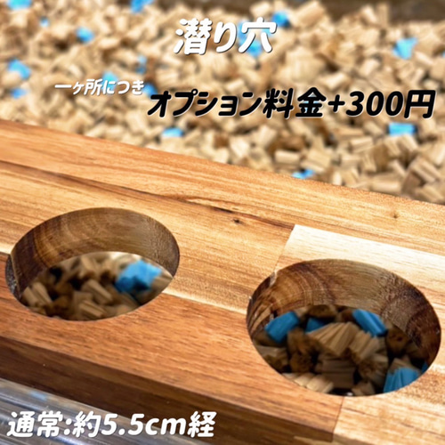 mayubuluオーダーページ グラスハーモニー600正面カジり防止ロフト グラスハーモニー600 かじり防止ロフト - メルカリ