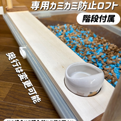 グラスハーモニー600High｜郵便局のネットショップ