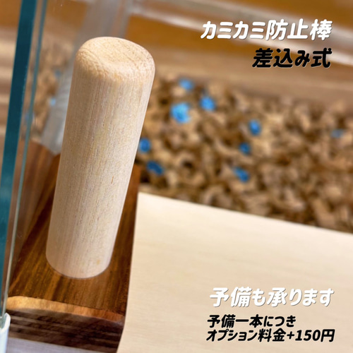 ハムスター グラスハーモニー600 カジカジ カミカミ防止ロフト 階段