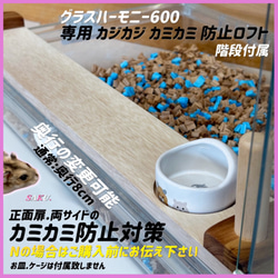 ハムスター グラスハーモニー600専用ロフト 階段付属 ハウス