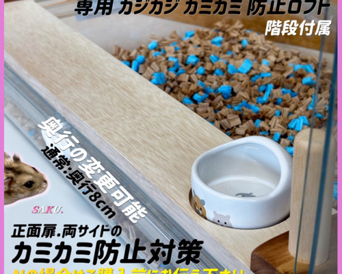 ハムスター グラスハーモニー600 カジカジ カミカミ防止ロフト 階段