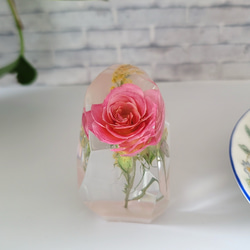 朝のバラのギャラリー｜ハンドメイド・手仕事品の販売・購入 Creema