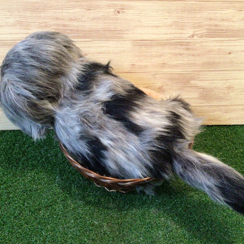 h様愛犬ちゃんオーダーメイド品(ミニチュアダックスフンド シルバー
