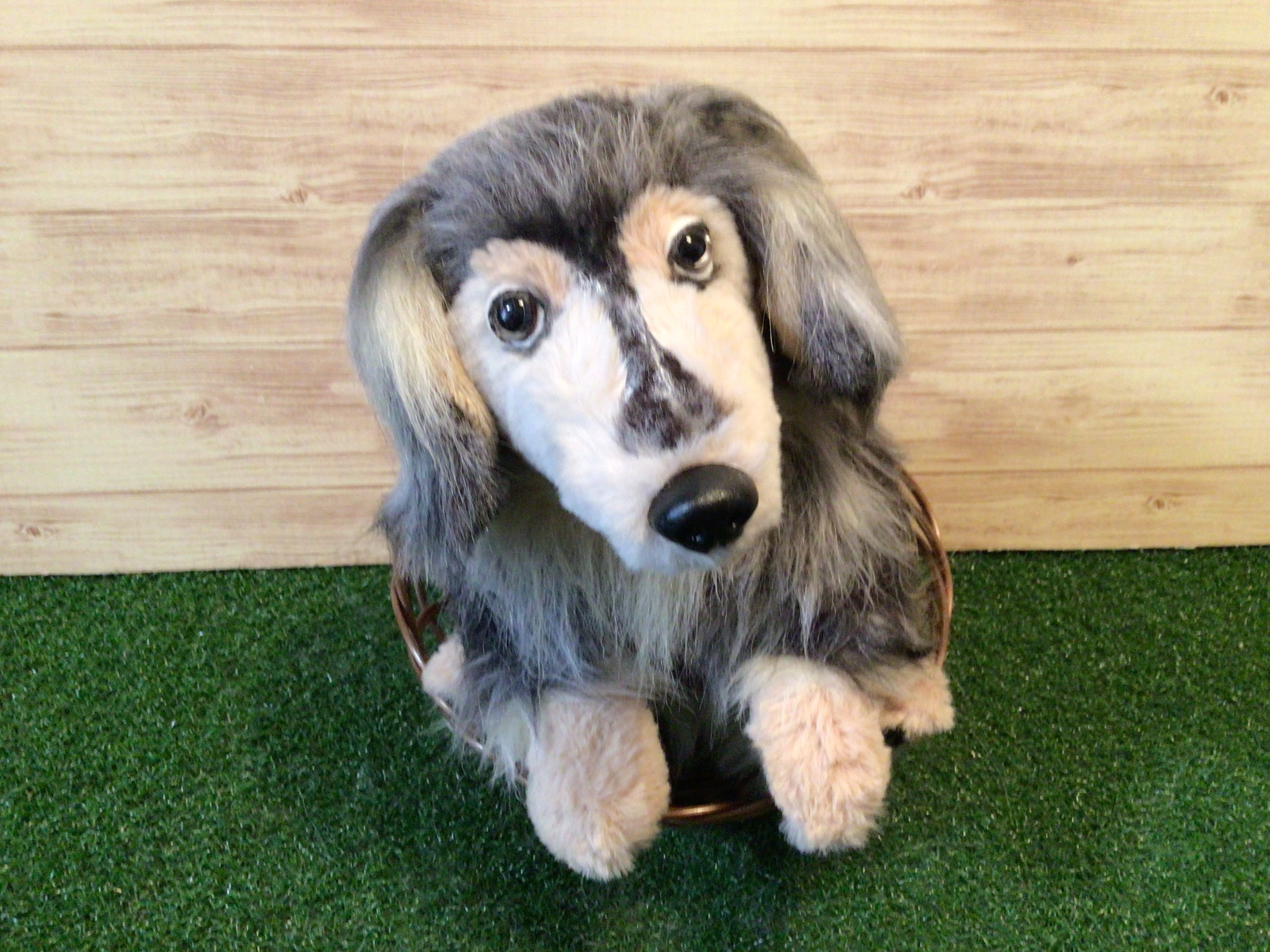 （専用）ハンドメイド ダックスちゃんぬいぐるみ ミナペルホネン