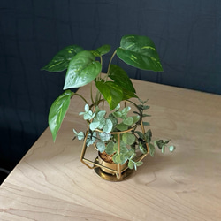 瞬間的お値下げ❣️無垢材 自然形状 木の花台 瞬間的お値下げ❣️無垢材 自然形状 木の花台