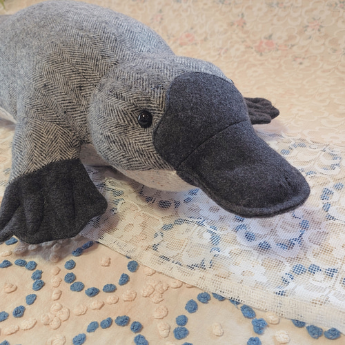 カモノハシ ぬいぐるみ 約15cm Amazon.co.jp: カモノハシ ぬいぐるみ かものはし リアル 動物
