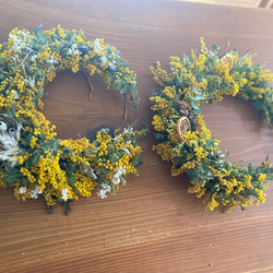 SALE 春の訪れ2025☆ミモザ三日月リース☆ミモザリース ドライフラワー