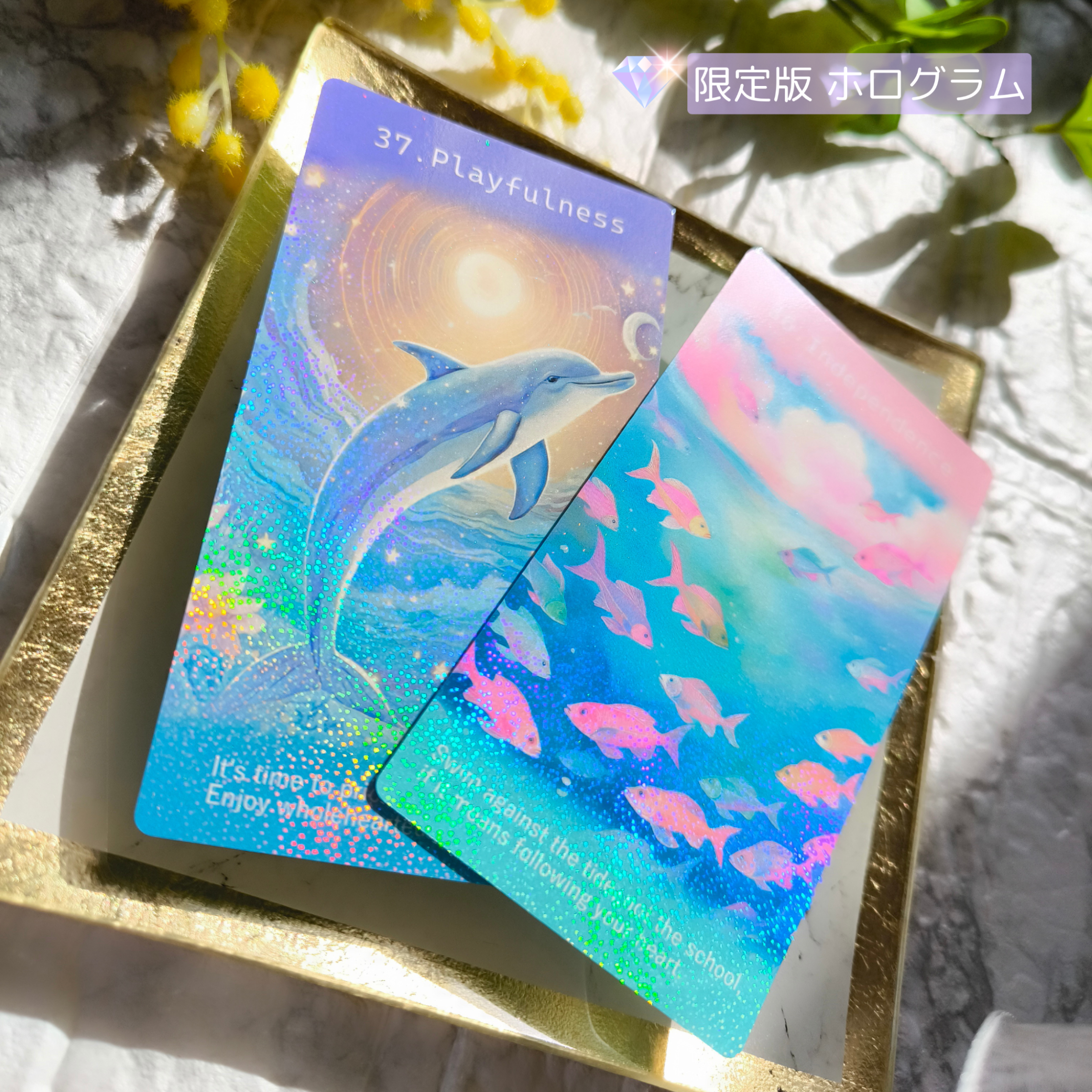 限定版10％OFF＊特別なご褒美コレクターズセット＊自分の選択に自信がつき後悔しない毎日を楽しむオラクルカード・送料無料