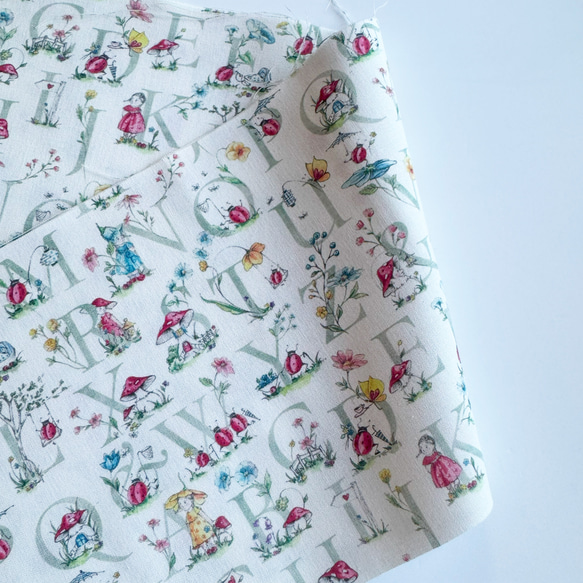 洗える半衿　ドイツ輸入生地の半襟  てんとう虫とアルファベット　co965 2枚目の画像