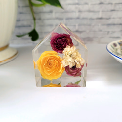 本物の白薔薇/インテリア置物/告白/記念日/ウエディング/薔薇の植物