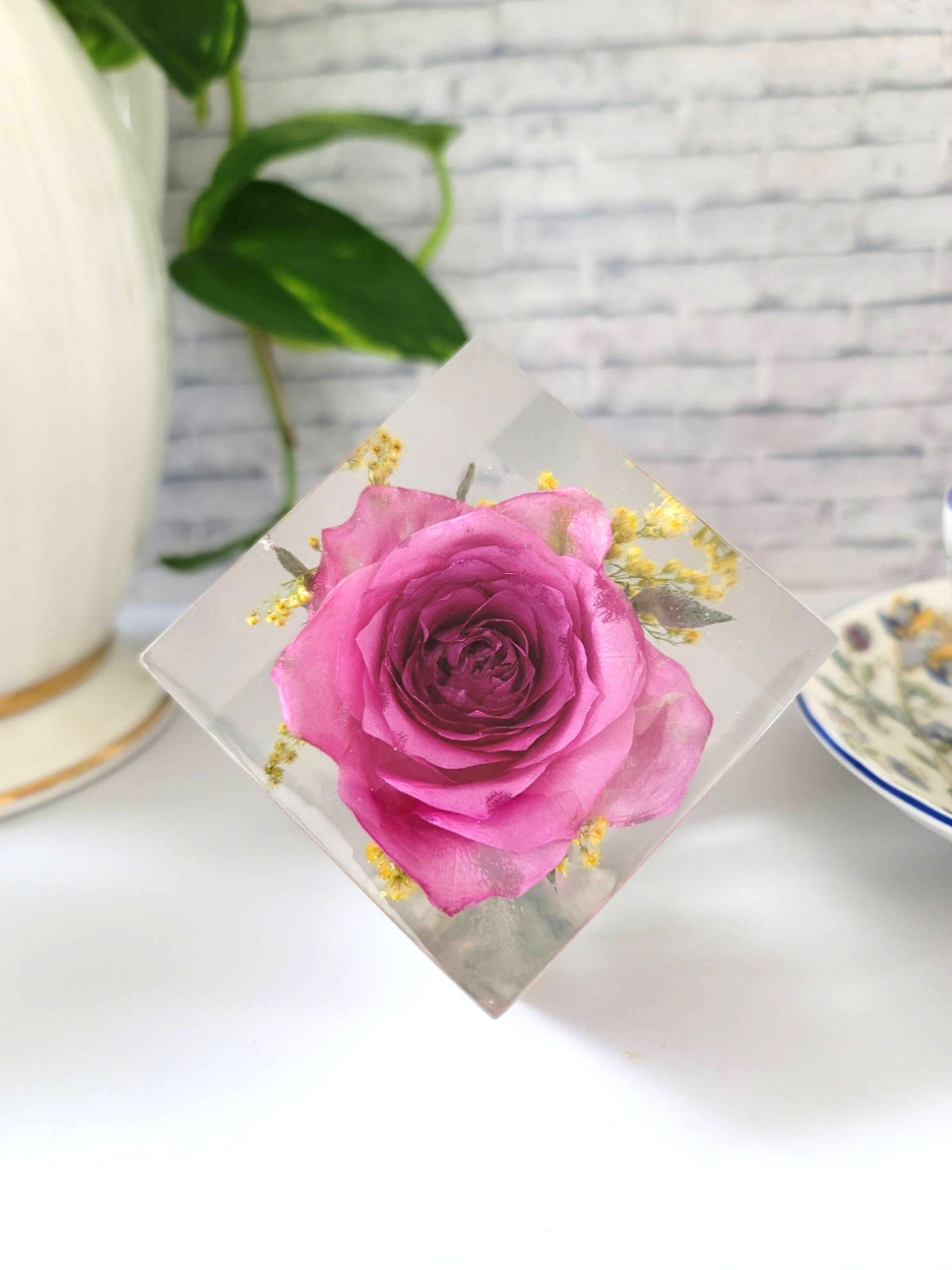 薔薇の片口立方体キューブ/植物標本/固まるハーバリウム/レジンフラワー /ピンクの薔薇/の薔薇　立方体