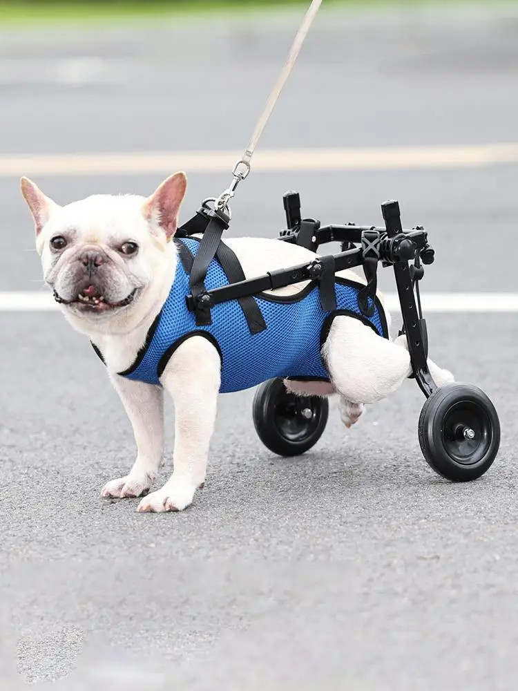犬用車椅子犬用車いす 青 メッシュ　脚用の調節可能なレッグハーネスモビリティの脚ウォーキングおよび車椅子