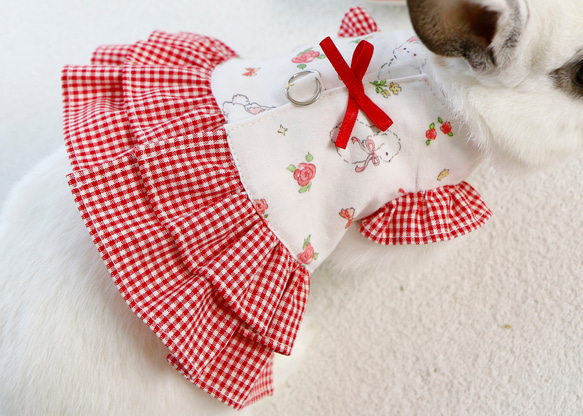 うさぎ用ハーネス<レッドリボン: マジックテープ > ペット服
