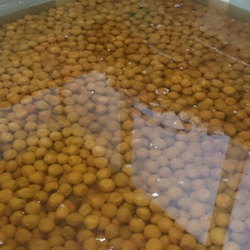 【母の日ギフト2025】☆無添加☆昔ながらの小梅セット（白干梅小梅300g、しそ漬小梅300g） 5枚目の画像