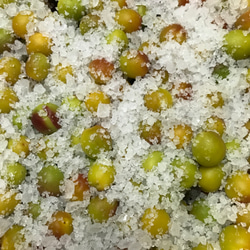 【母の日ギフト2025】☆無添加☆昔ながらの小梅セット（白干梅小梅300g、しそ漬小梅300g） 4枚目の画像