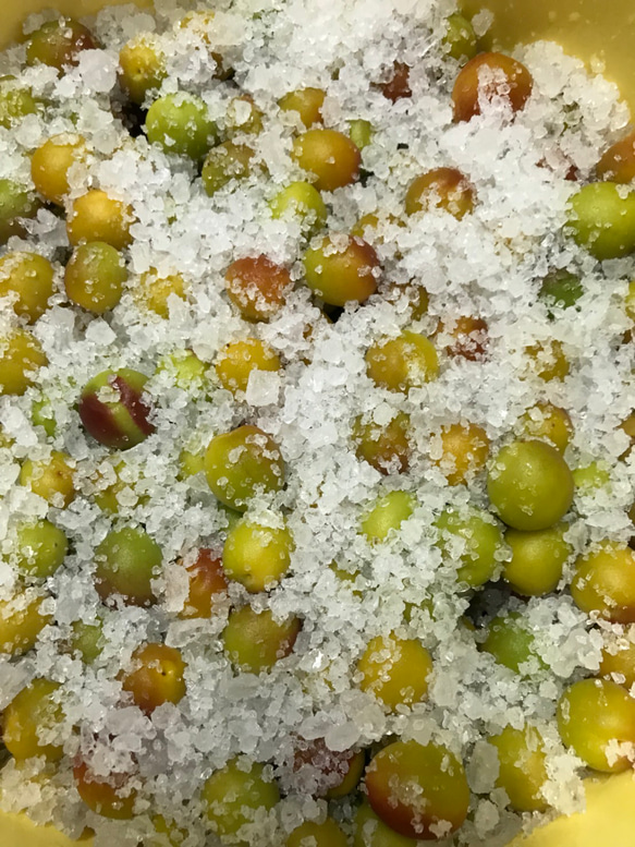 【母の日ギフト2025】☆無添加☆昔ながらの小梅セット（白干梅小梅300g、しそ漬小梅300g） 4枚目の画像