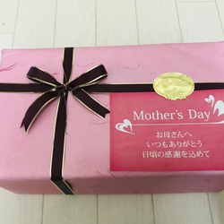 【母の日ギフト2025】☆無添加☆昔ながらの小梅セット（白干梅小梅300g、しそ漬小梅300g） 2枚目の画像