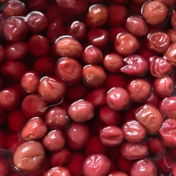 【母の日ギフト2025】☆無添加☆昔ながらの小梅セット（白干梅小梅300g、しそ漬小梅300g） 9枚目の画像