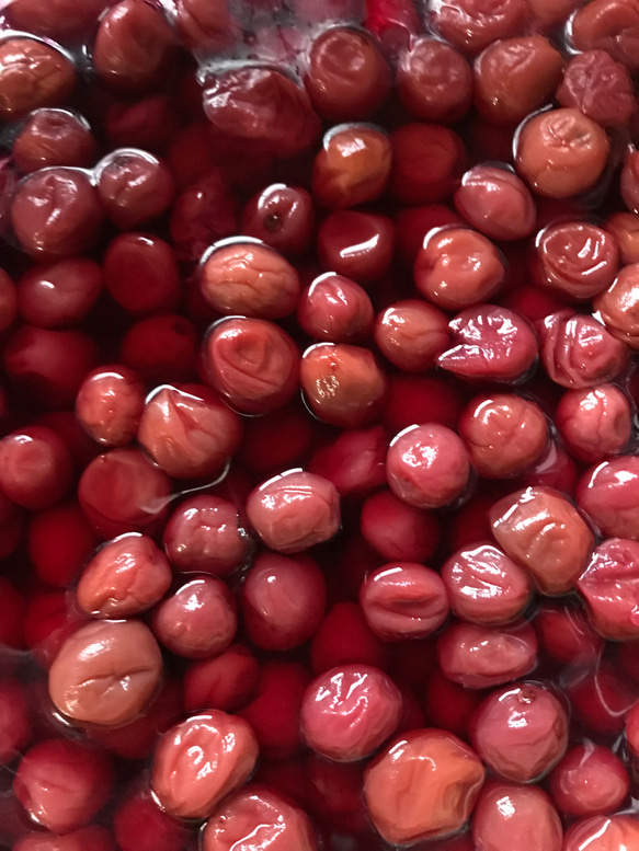 【母の日ギフト2025】☆無添加☆昔ながらの小梅セット（白干梅小梅300g、しそ漬小梅300g） 9枚目の画像