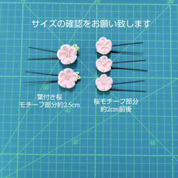  第4張的照片