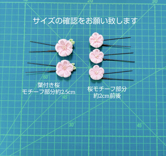  第4張的照片