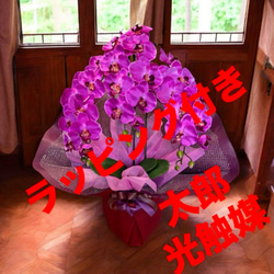 光触媒 人工観葉植物 ウォールグリーン フェイク フラワー
