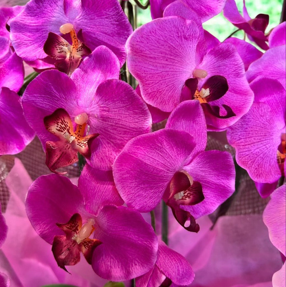 光触媒　人工観葉植物　ウォールグリーン　フェイクグリーン　胡蝶蘭7640r 6枚目の画像