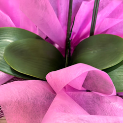 光触媒　人工観葉植物　ウォールグリーン　フェイクグリーン　胡蝶蘭7640r 7枚目の画像