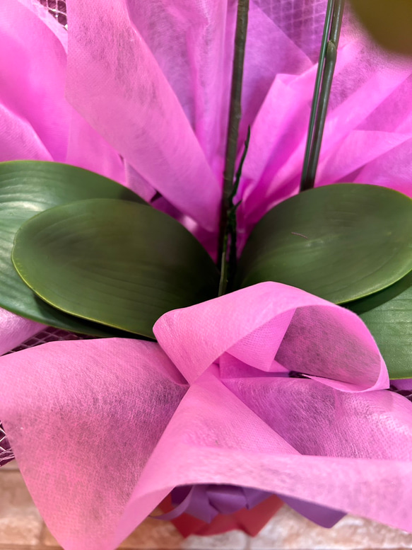 光触媒　人工観葉植物　ウォールグリーン　フェイクグリーン　胡蝶蘭7640r 7枚目の画像