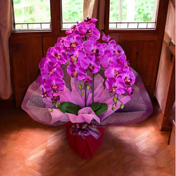 光触媒　人工観葉植物　ウォールグリーン　フェイクグリーン　胡蝶蘭7640r 2枚目の画像