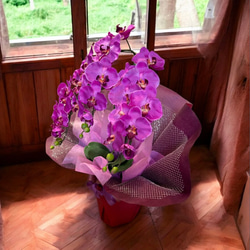 光触媒　人工観葉植物　ウォールグリーン　フェイクグリーン　胡蝶蘭7640r 4枚目の画像