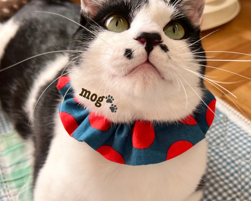 d79f9299192312d3de8782a402c608