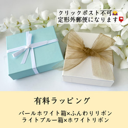 フローライトのりんごネックレス/天然石/母の日/ギフト 20枚目の画像