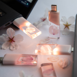 【2025年春新作】桜色メモリーズMk.Ⅲ(桜メモリType-Cモデル) 32~128GB 本物の桜の花びらを使用 5枚目の画像