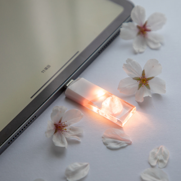 【2025年春新作】桜色メモリーズMk.Ⅲ(桜メモリType-Cモデル) 32~128GB 本物の桜の花びらを使用 8枚目の画像