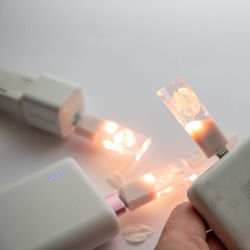 【2025年春新作】桜色メモリーズMk.Ⅲ(桜メモリType-Cモデル) 32~128GB 本物の桜の花びらを使用 16枚目の画像