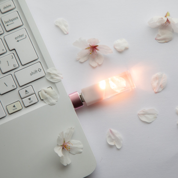 【2025年春新作】桜色メモリーズMk.Ⅲ(桜メモリType-Cモデル) 32~128GB 本物の桜の花びらを使用 14枚目の画像