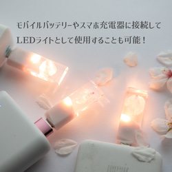 【2025年春新作】桜色メモリーズMk.Ⅲ(桜メモリType-Cモデル) 32~128GB 本物の桜の花びらを使用 15枚目の画像