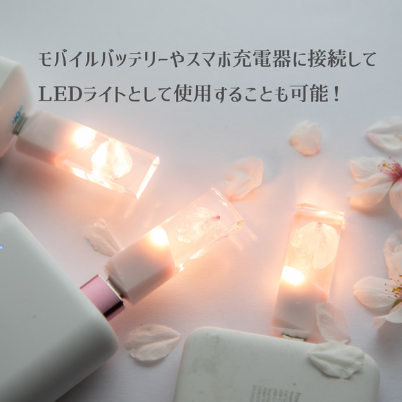 【2025年春新作】桜色メモリーズMk.Ⅲ(桜メモリType-Cモデル) 32~128GB 本物の桜の花びらを使用 15枚目の画像